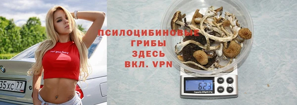 тгк Балахна