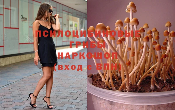 винт Лабытнанги