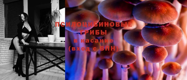 тгк Балахна