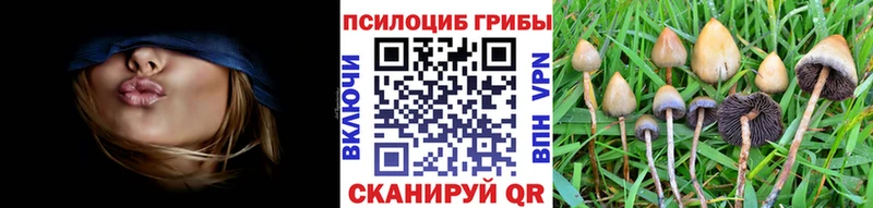 Галлюциногенные грибы мухоморы хочу наркоту Нязепетровск