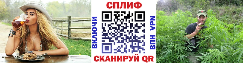 Каннабис планчик  Нязепетровск 